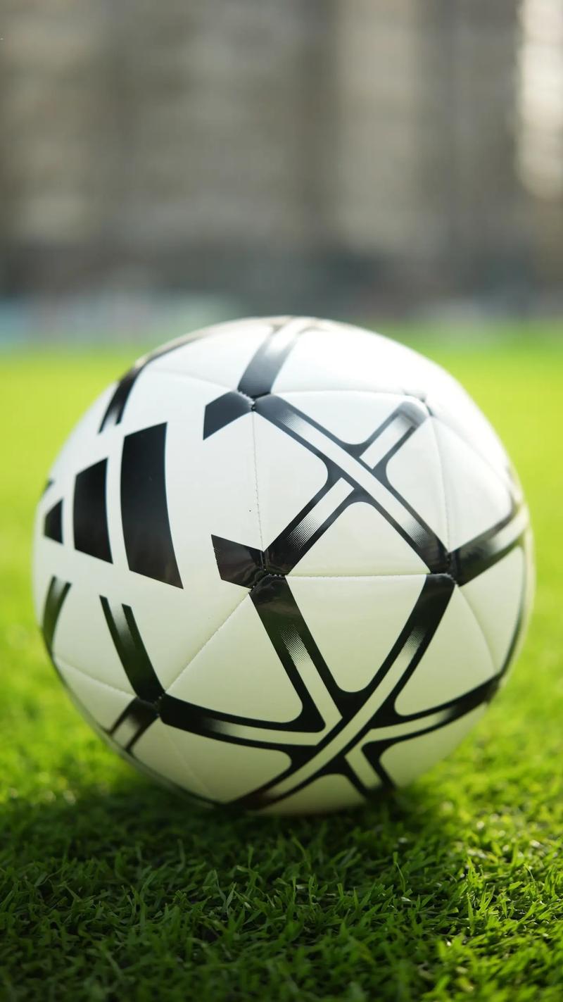 篮球爱好者观赛场景